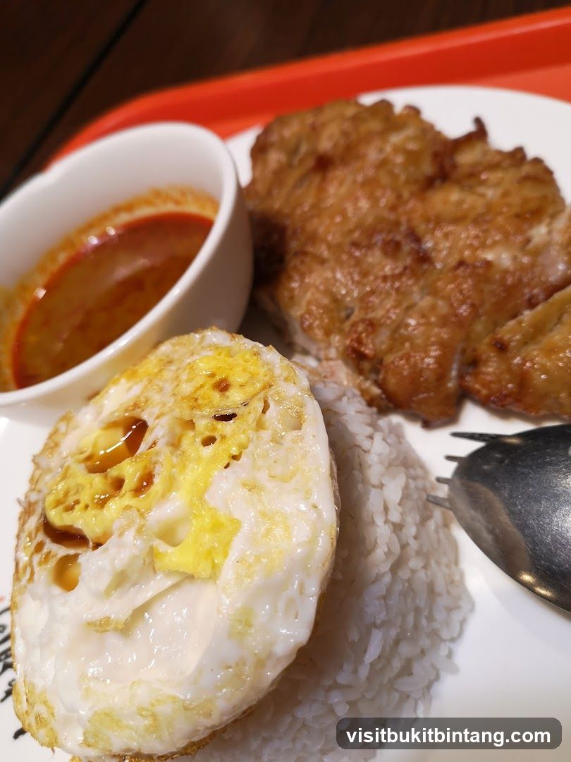 Fried Egg and Chicken Rice
