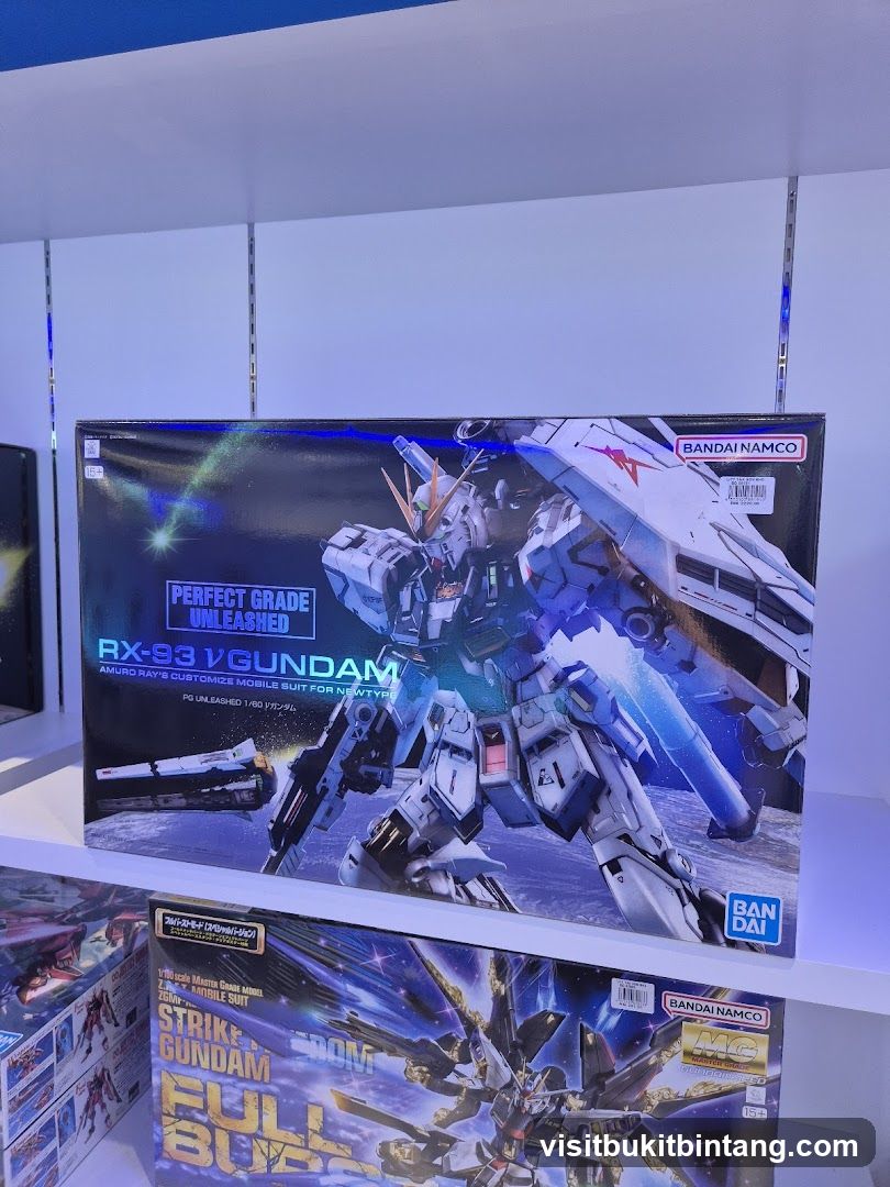 Model Kit Display Shelf