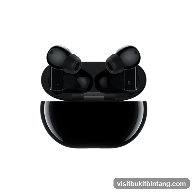 Black Wireless Earbuds