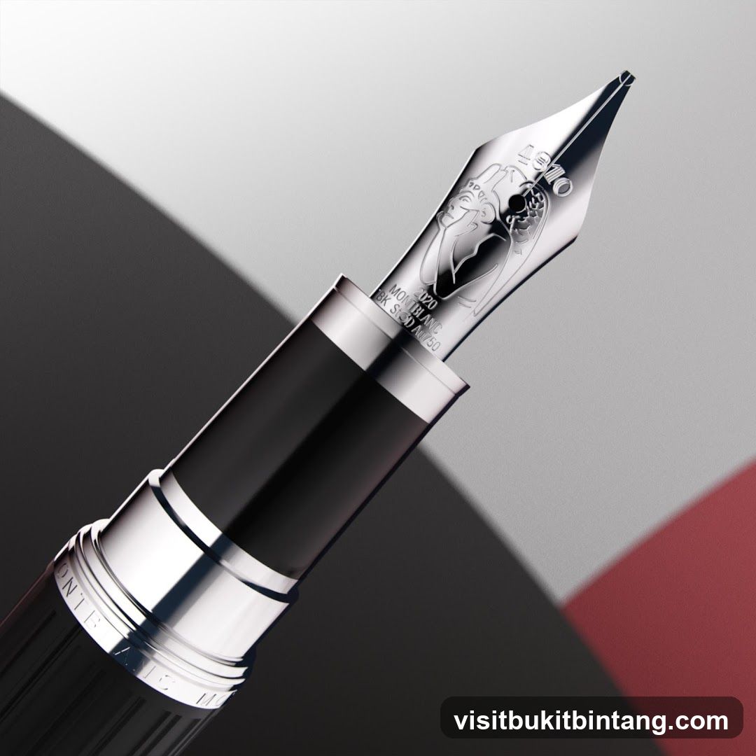 Fountain Pen Close-Up