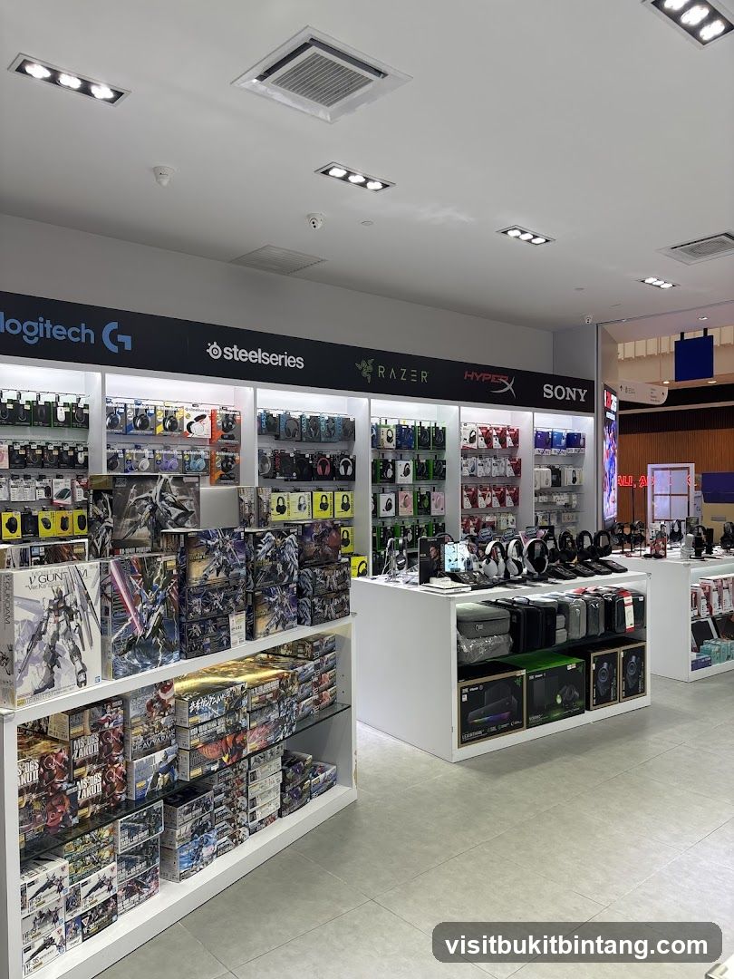 Electronics and Model Store Interior