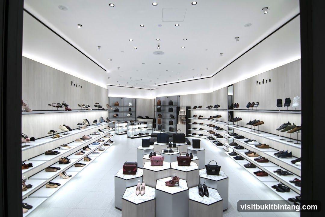 Luxury Shoe Store Interior