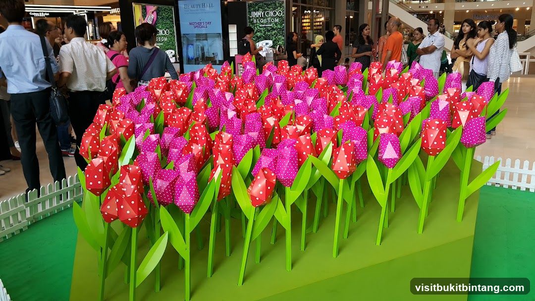 Tulip Display in Mall