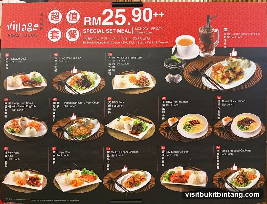Village Roast Duck Special Set Meal