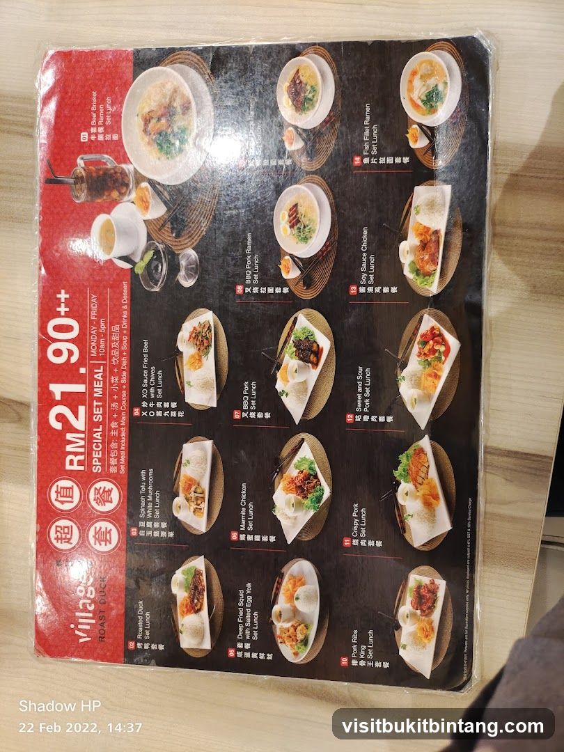 Village Roast Duck Special Set Meal