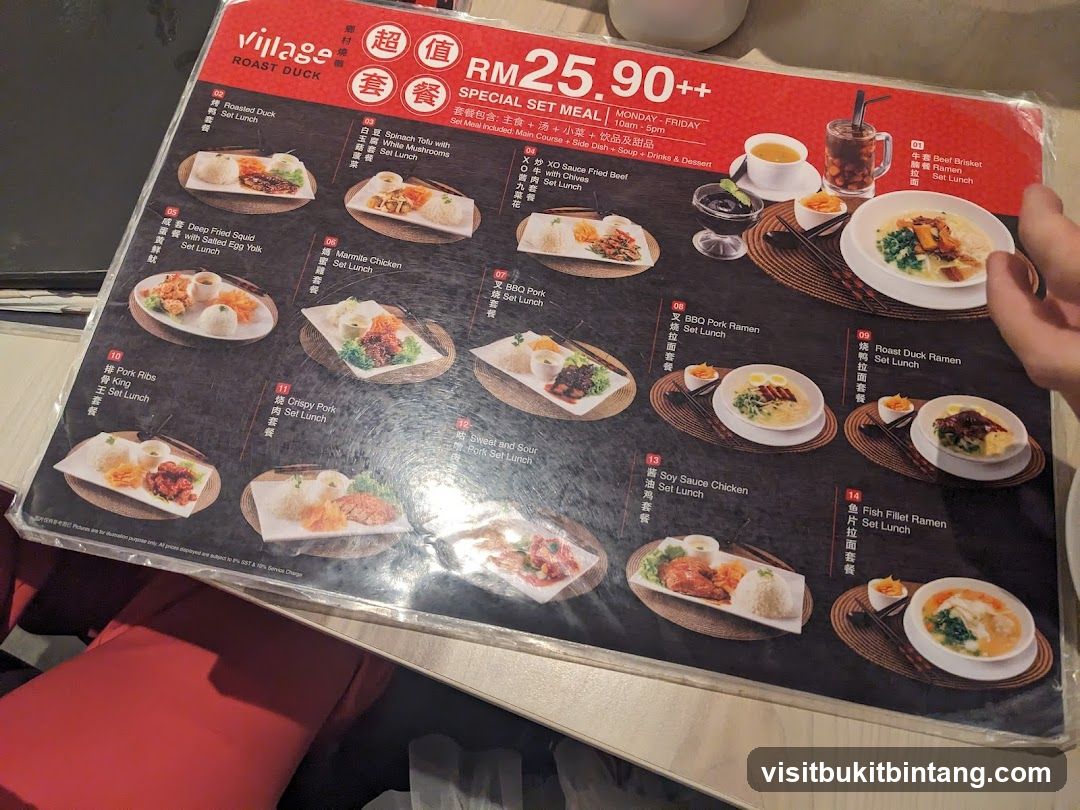 Village Roast Duck Special Set Meal