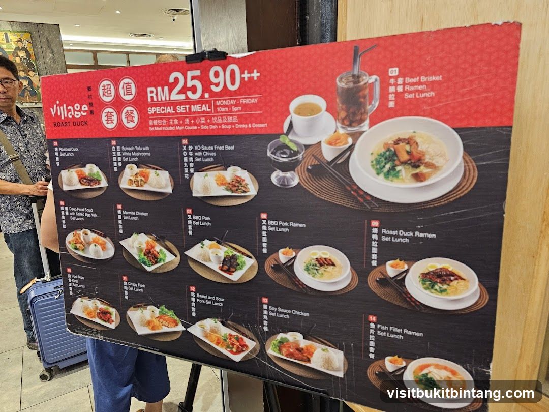 Village Roast Duck Special Set Meal