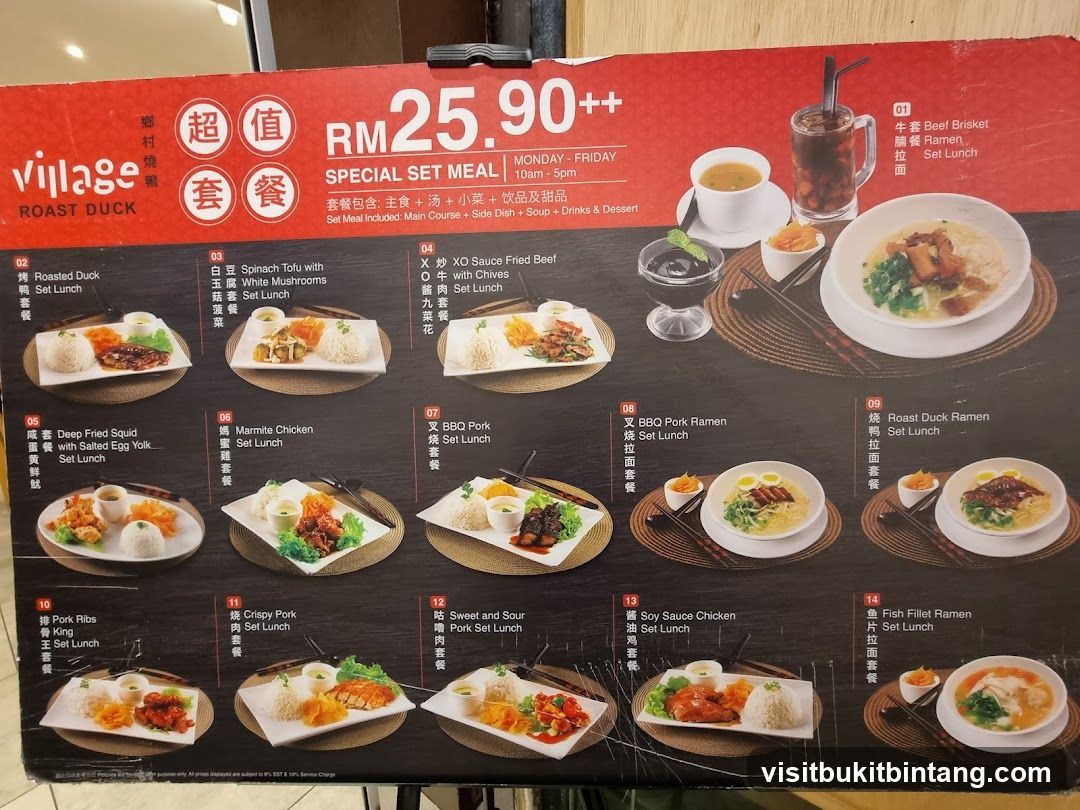 Village Roast Duck Special Set Meal