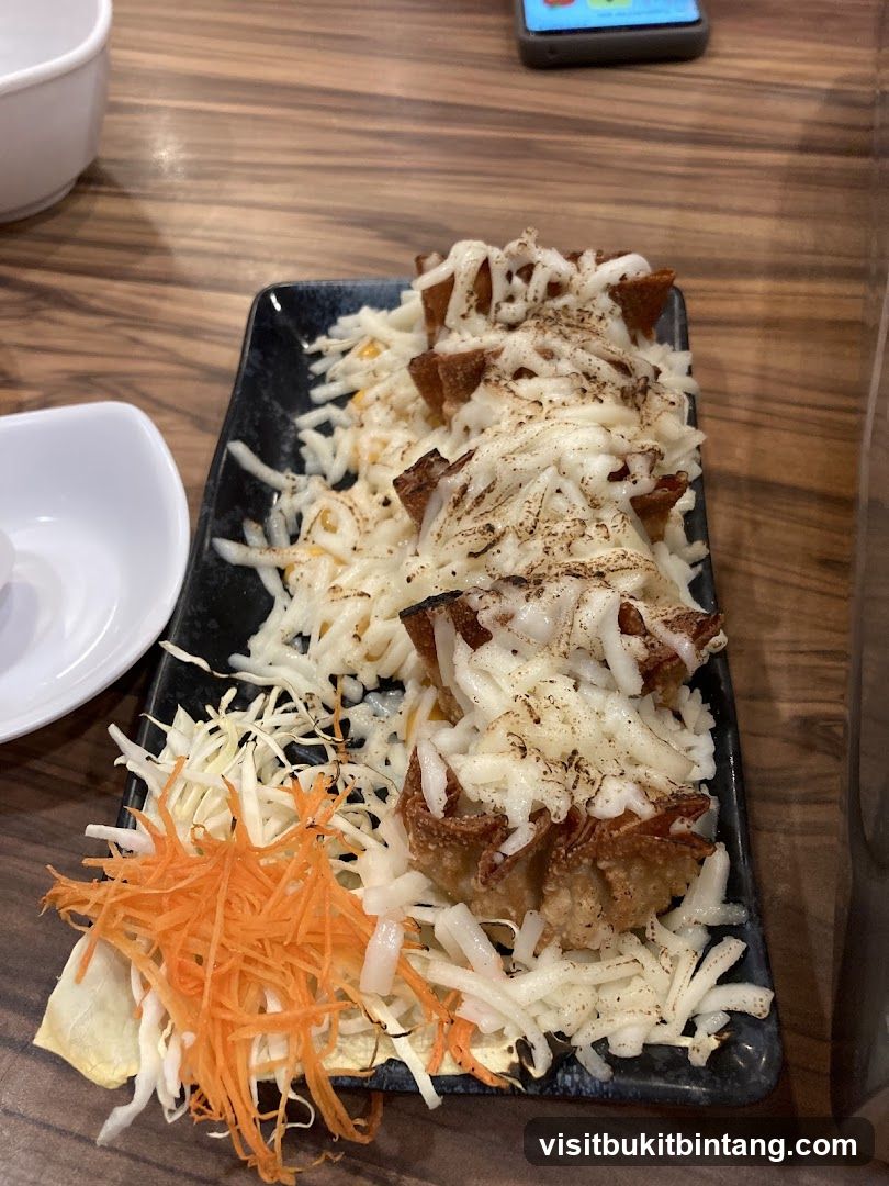 Fried Wontons with Cheese