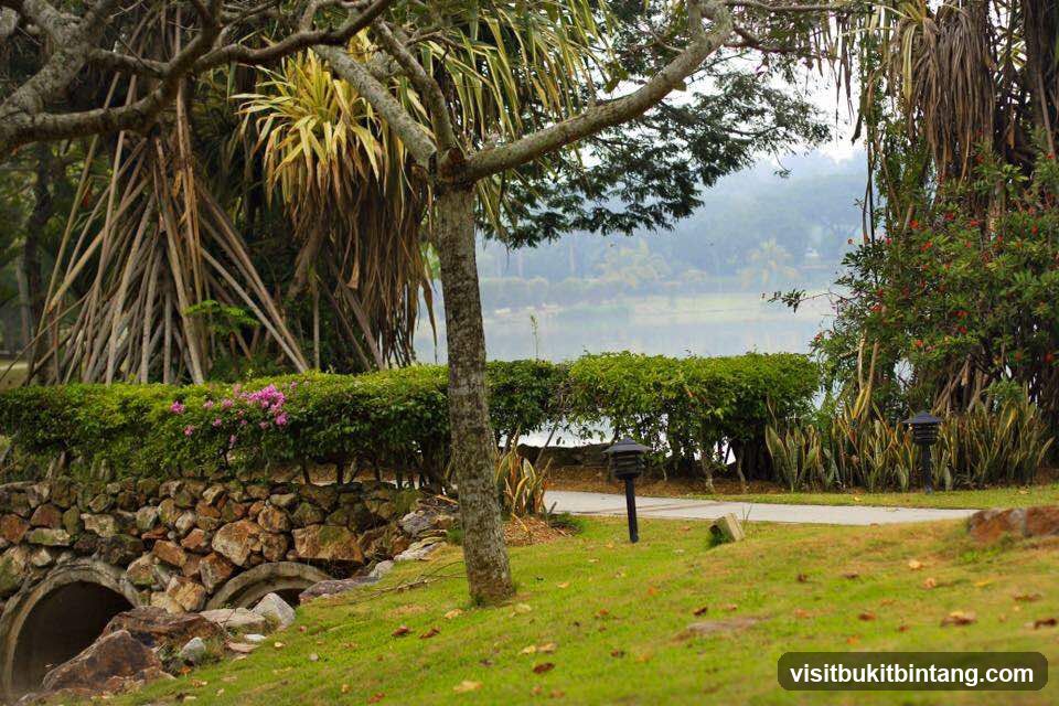 Lush Garden Landscape with Lake View