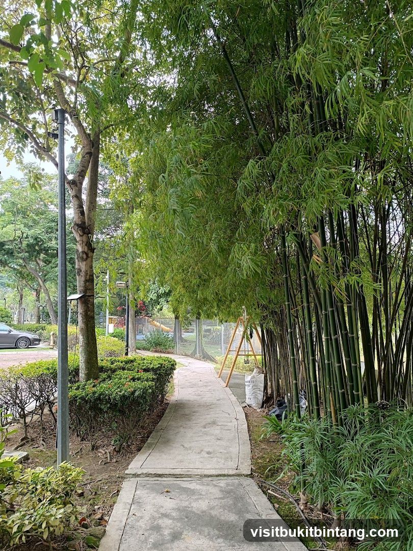 Pathway through a bamboo grove