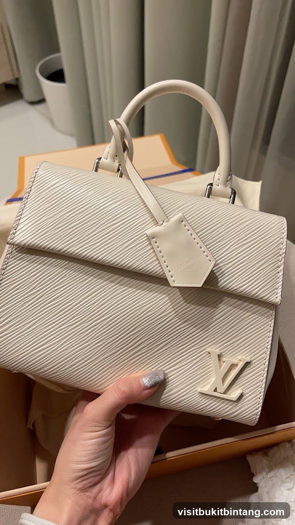 Louis Vuitton Handbag
