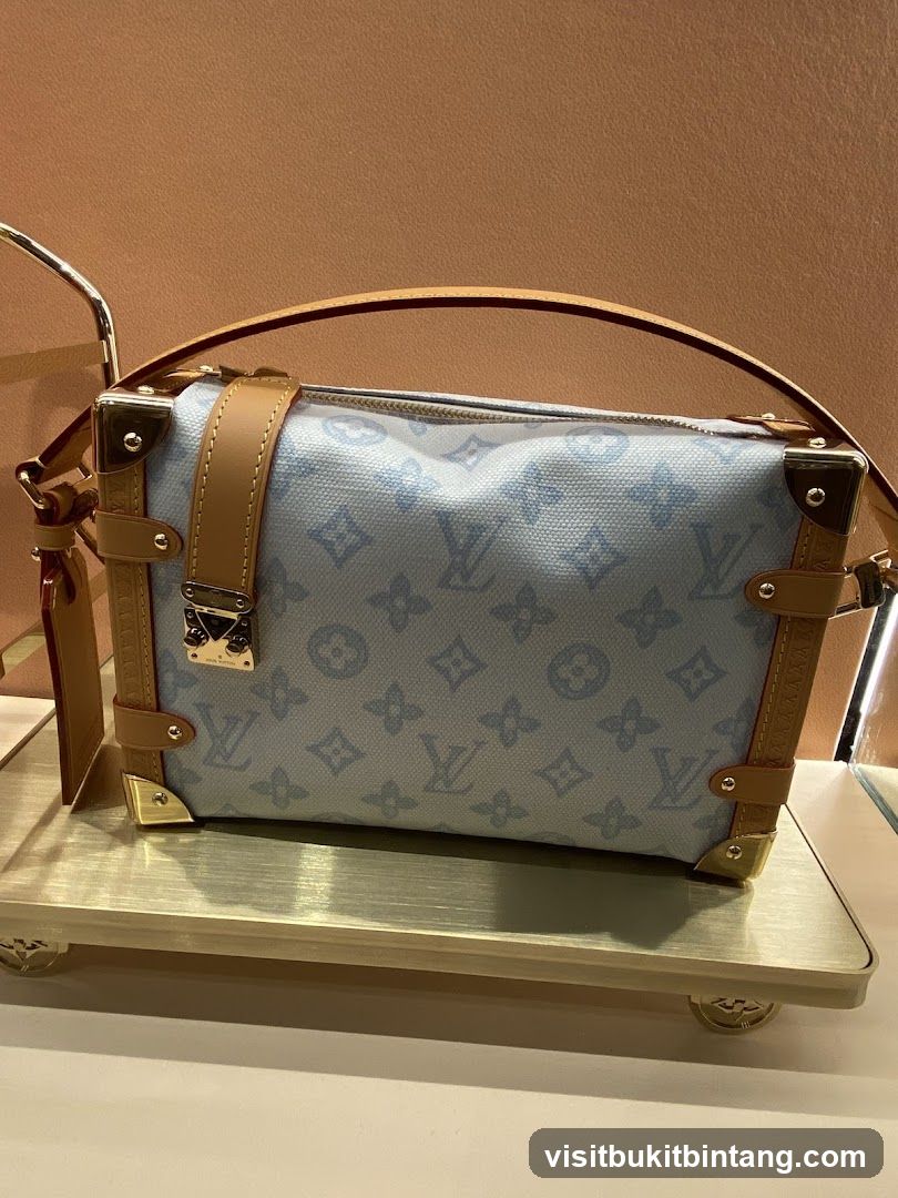 Louis Vuitton Handbag