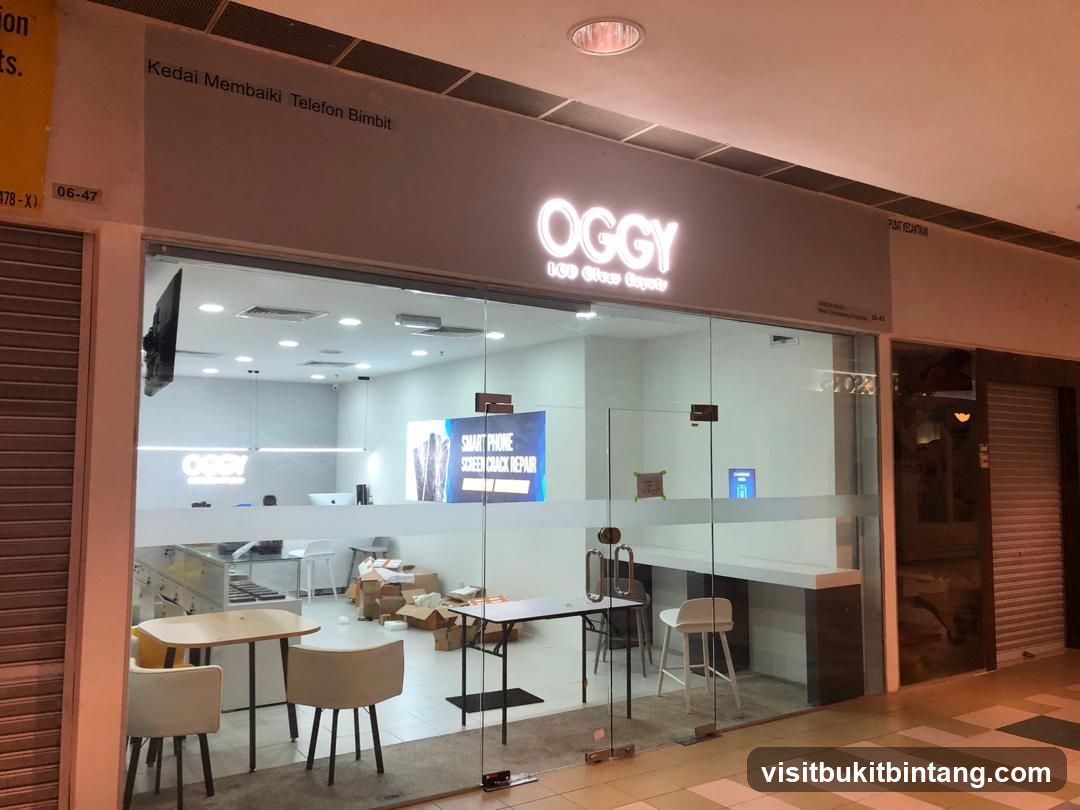 Oggy LCD Glass Repair