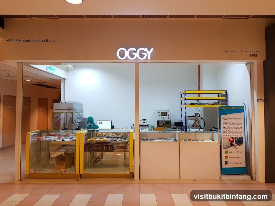 Oggy LCD Glass Repair