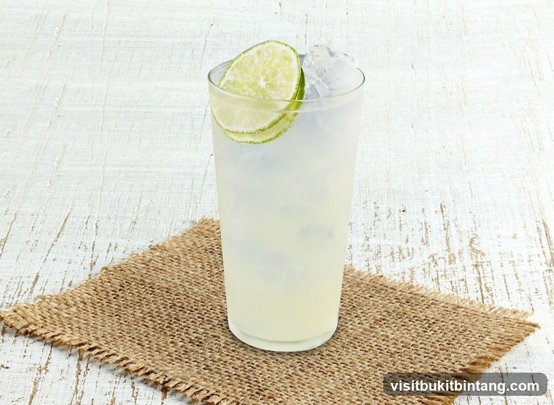 Limeade with Lime Slices