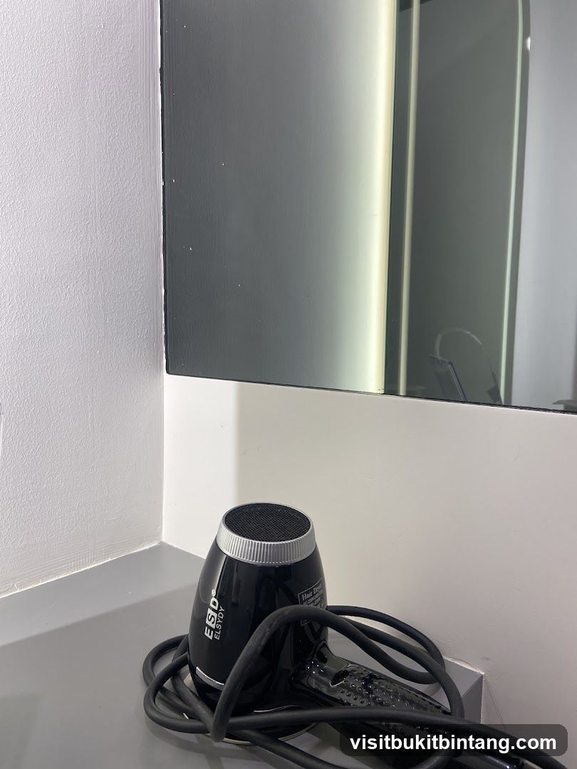 Black Hair Dryer