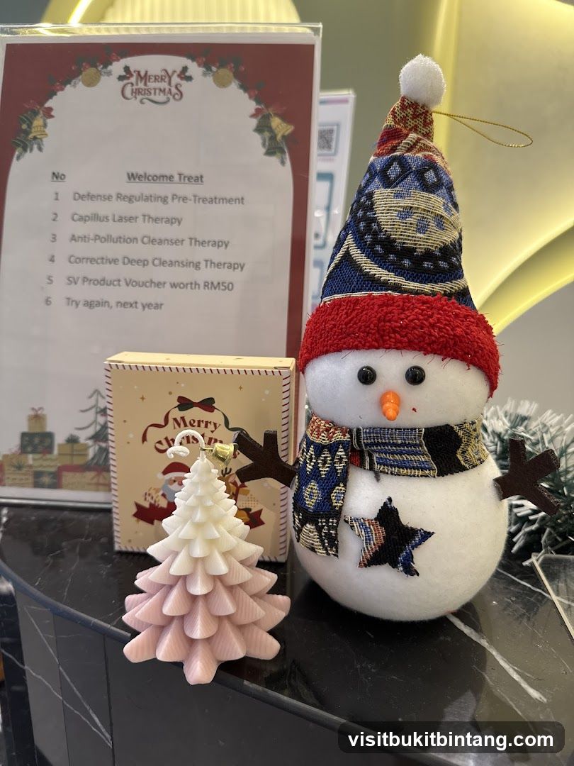 Christmas Decorations and Welcome Treat List