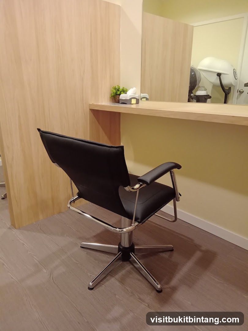 Hair Salon Chair