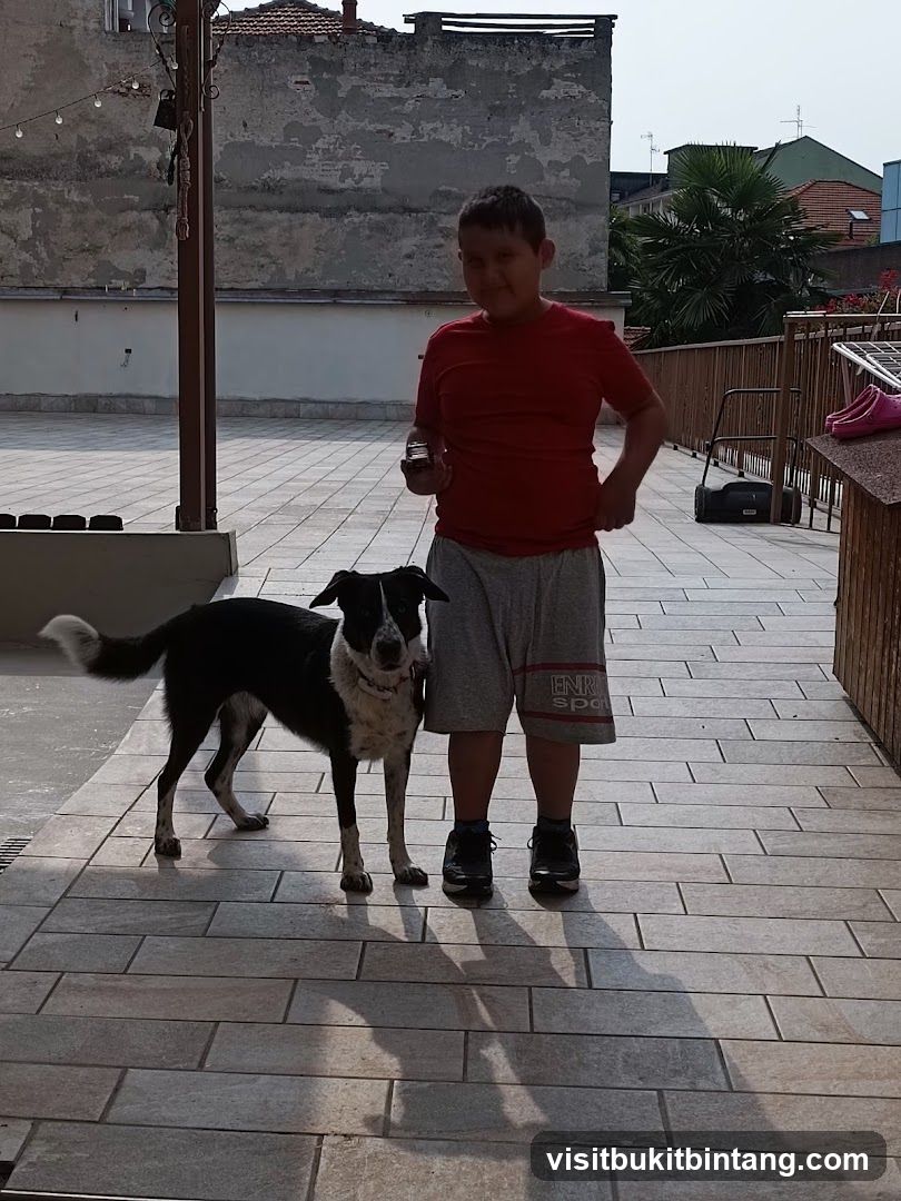 Boy and dog on a patio