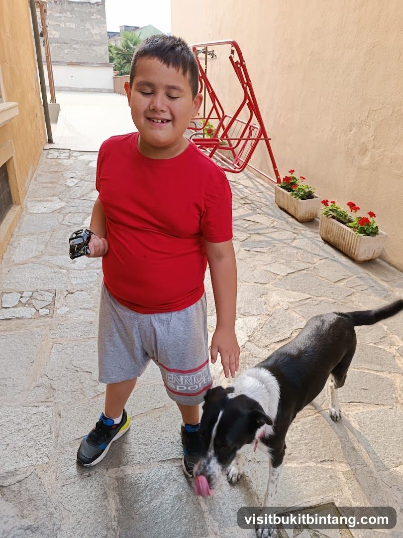 Boy with toy truck and dog
