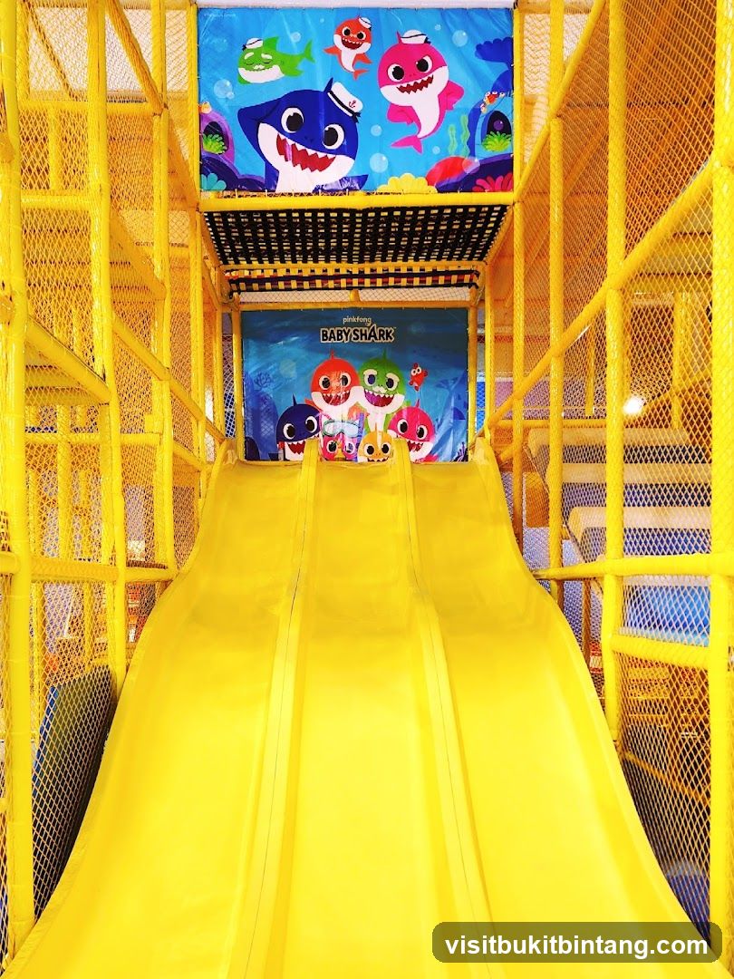 Baby Shark Themed Indoor Playground