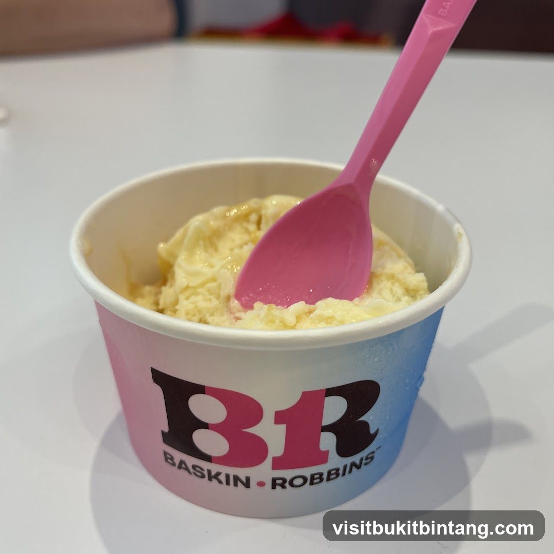 Baskin Robbins Ice Cream Cup