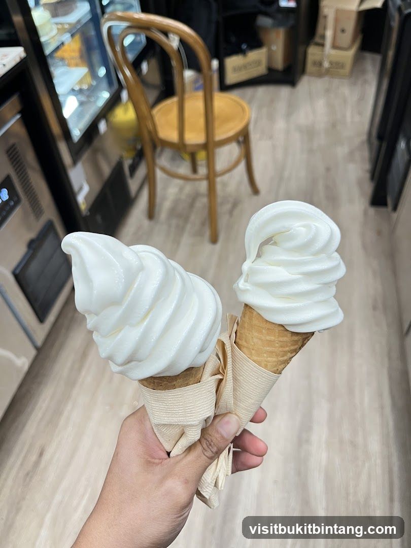 Two Soft Serve Ice Cream Cones