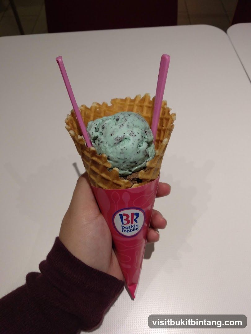 Mint Chocolate Chip Ice Cream Cone