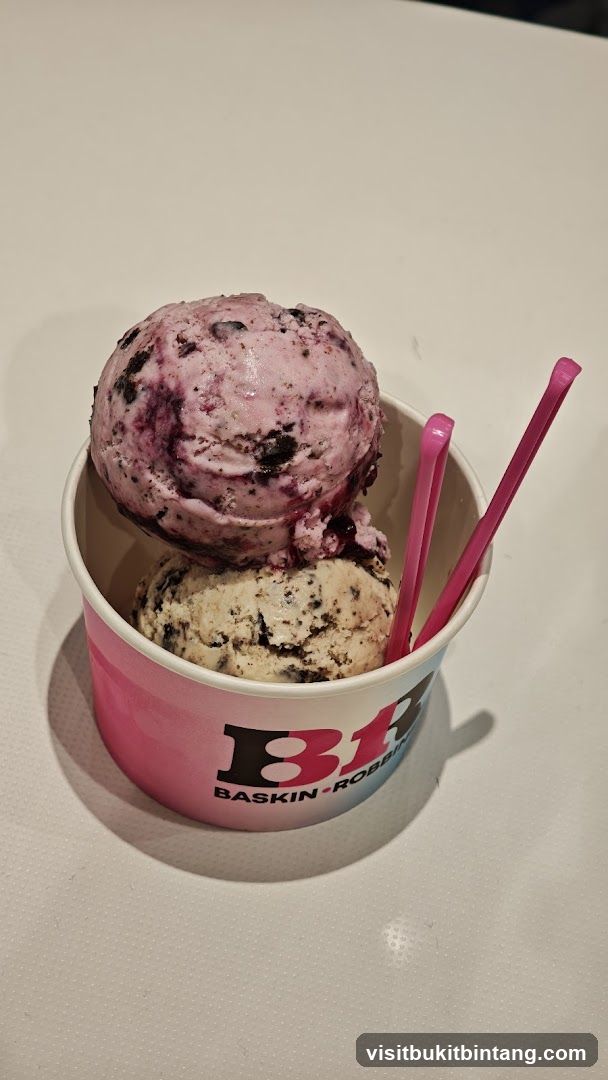 Baskin-Robbins Ice Cream Cup