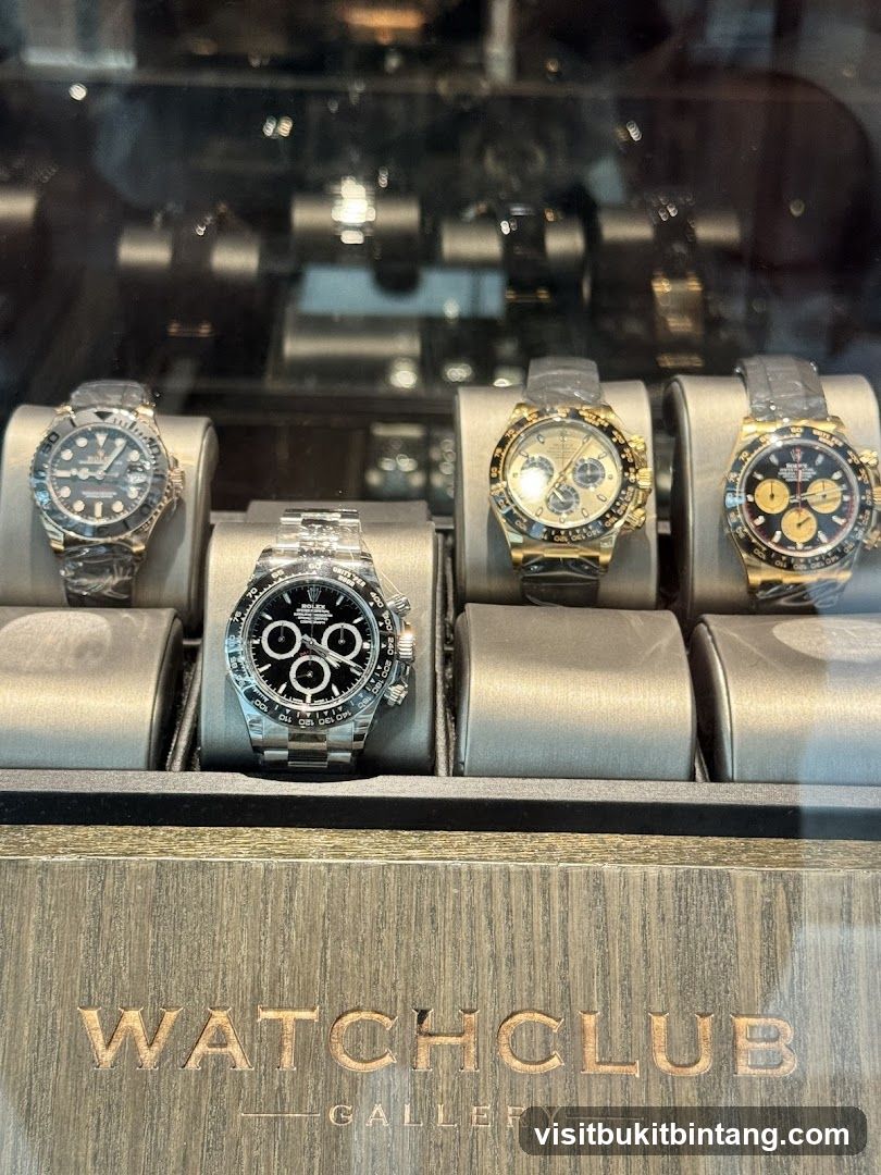 Watch Display Case