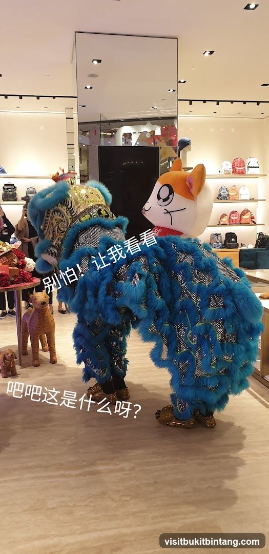 Lion Dance Performance in Store