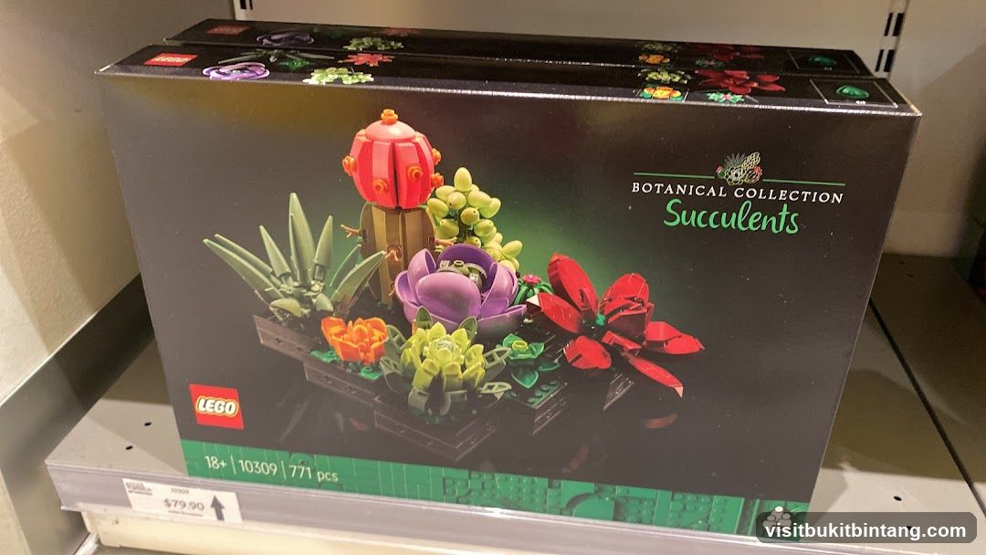 LEGO Botanical Collection Succulents Set