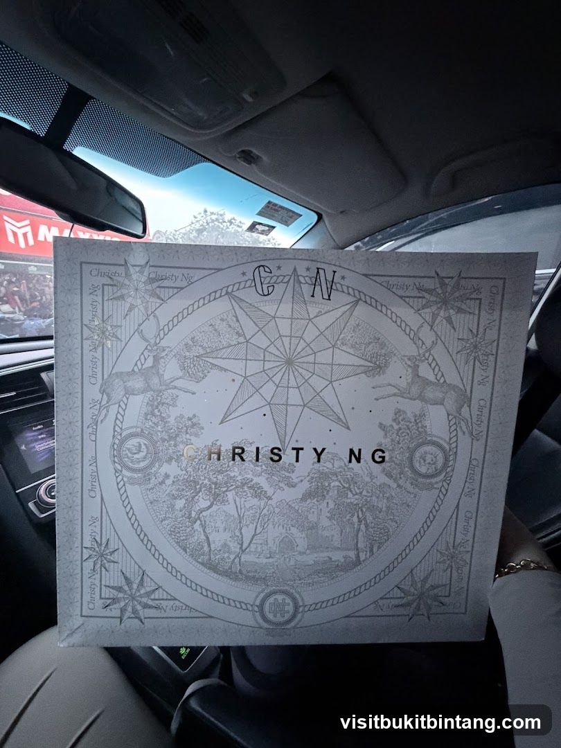 Christy Ng Box