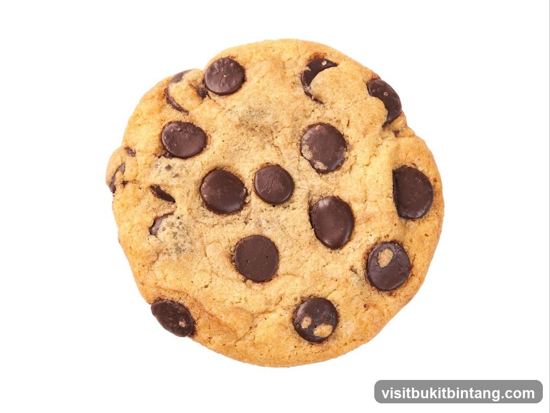 Chocolate Chip Cookie