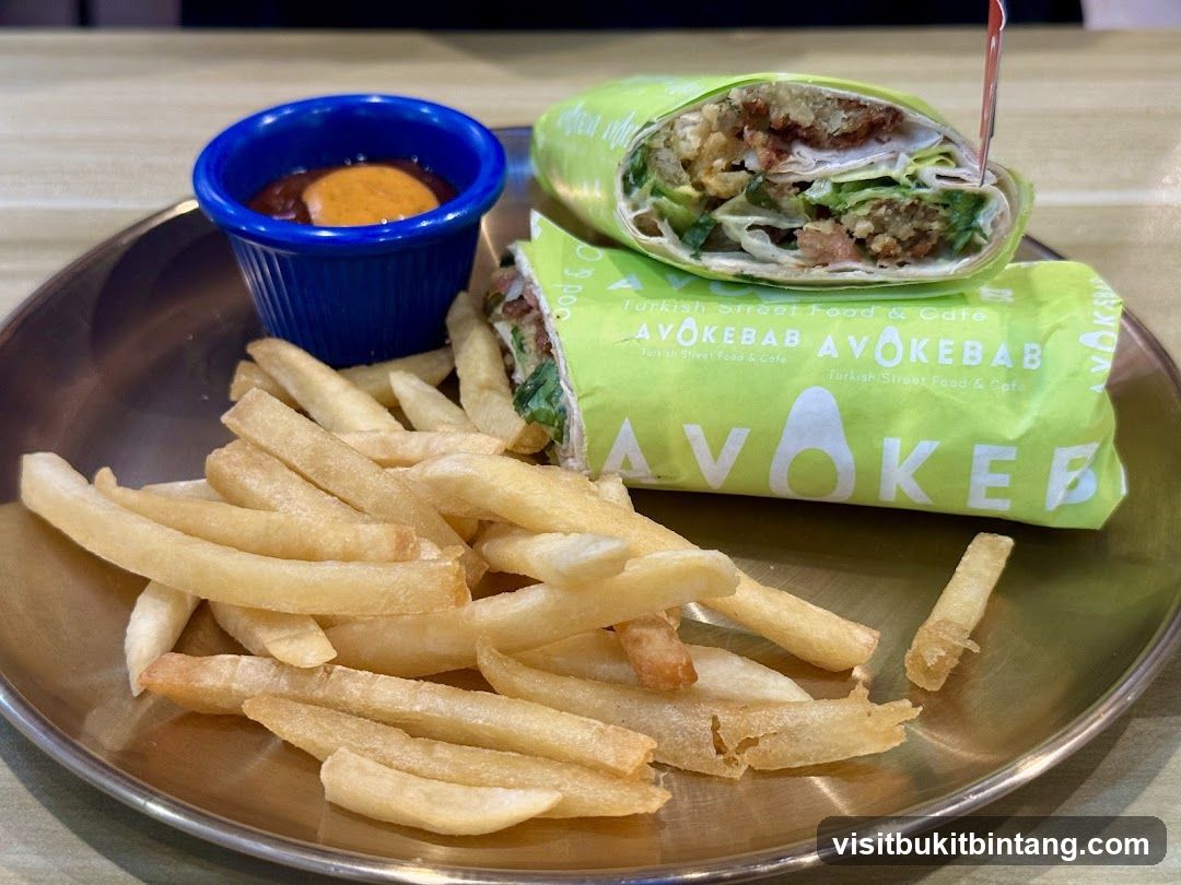 Kebab Wrap and Fries