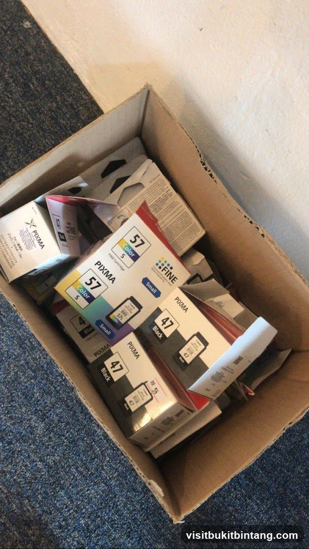 Printer Ink Cartridges