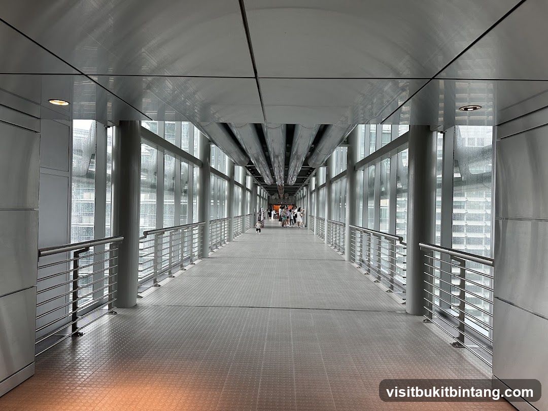 Modern Elevated Walkway