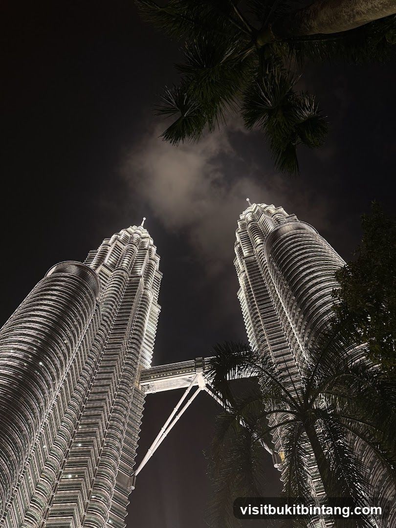 Petronas Towers at Night