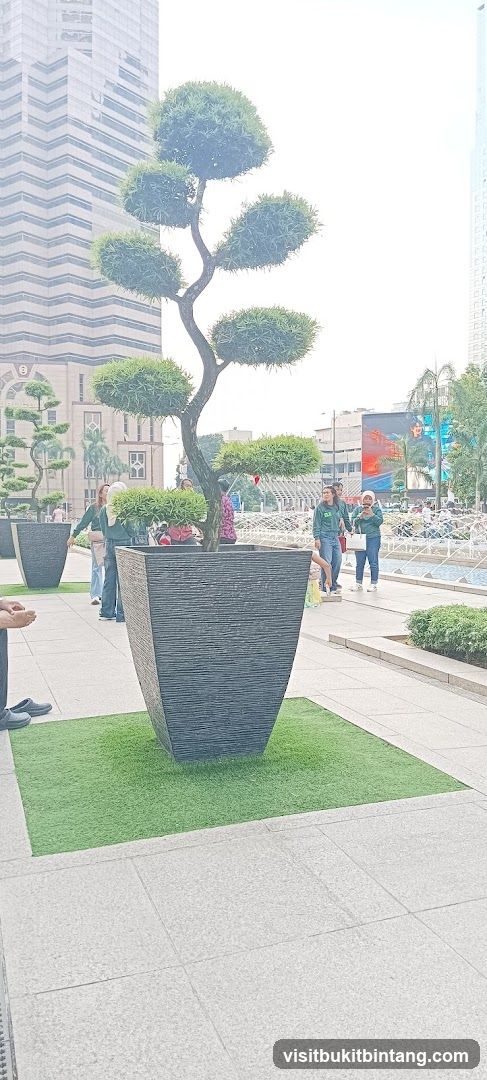 Outdoor plaza with decorative trees and people