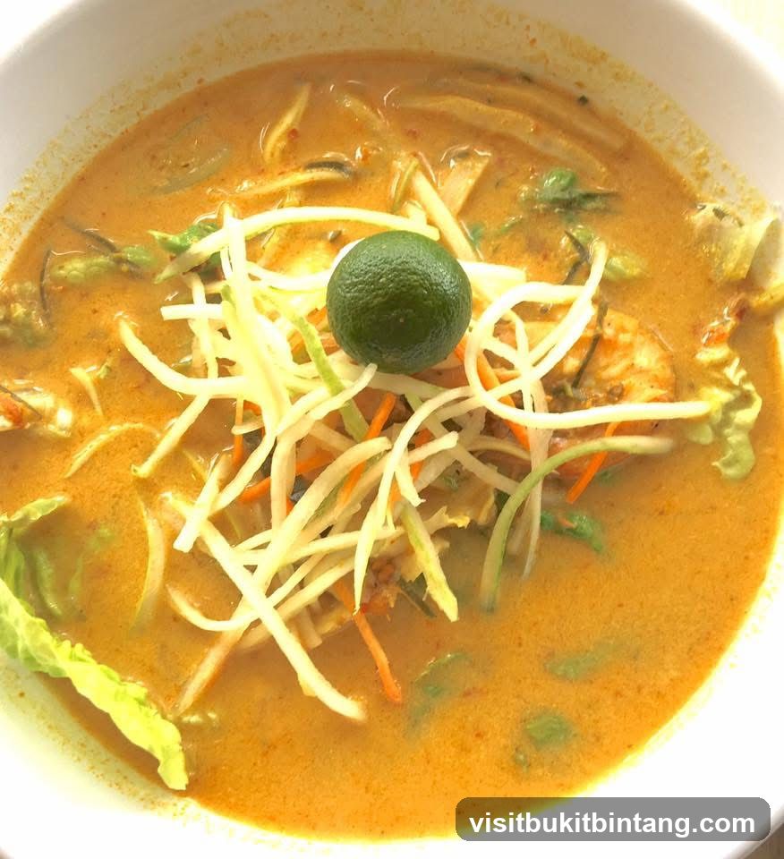 Laksa with Lime and Shredded Vegetables