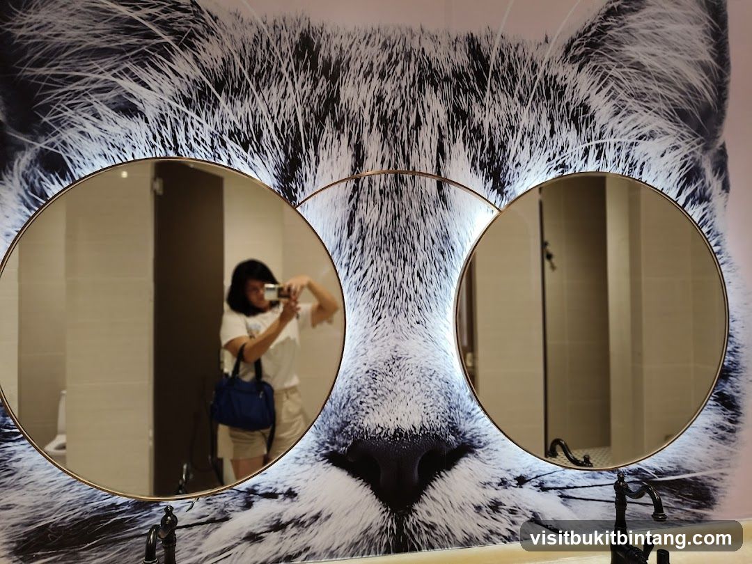 Bathroom with Cat Mural and Mirrors