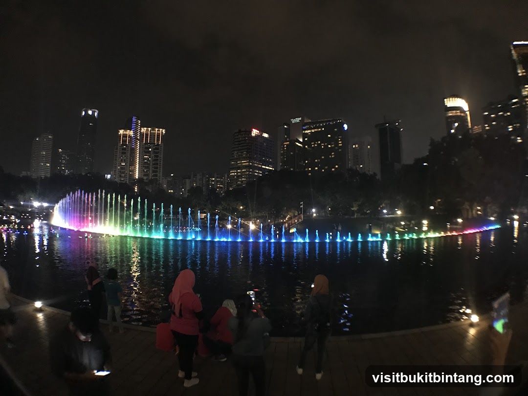 Nighttime Fountain Show with City Skyline