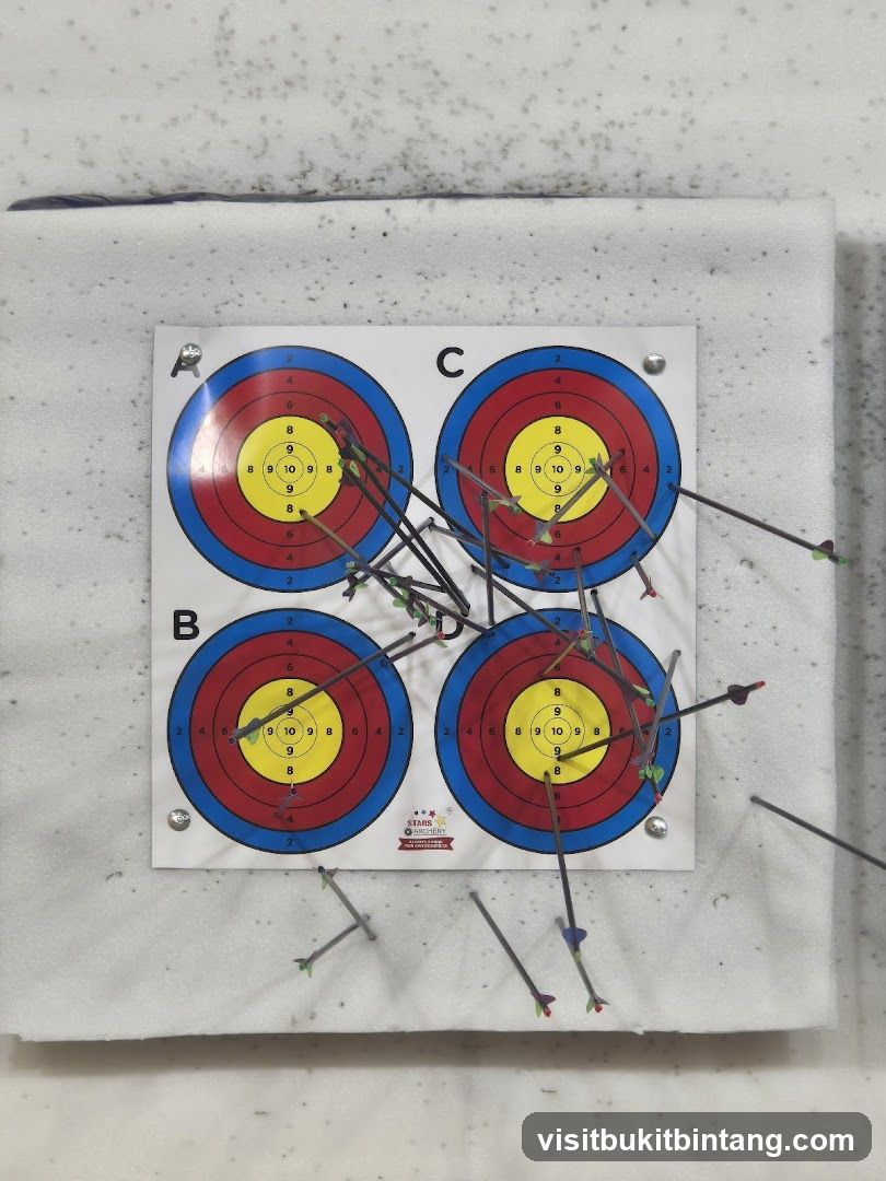 Archery Targets