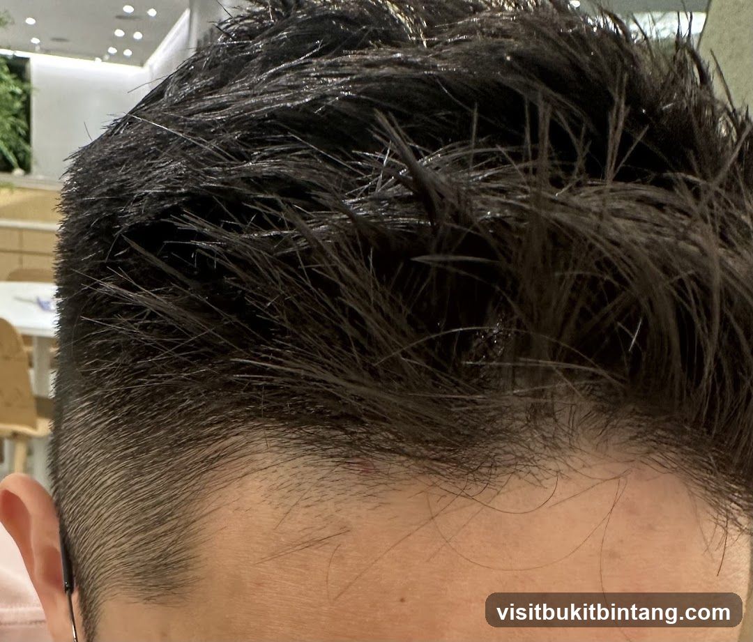 Close-up of a man's dark, styled hair
