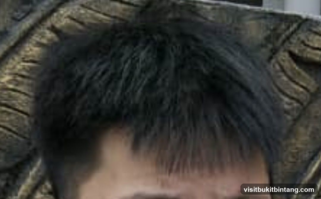 Close-up of a person's hair