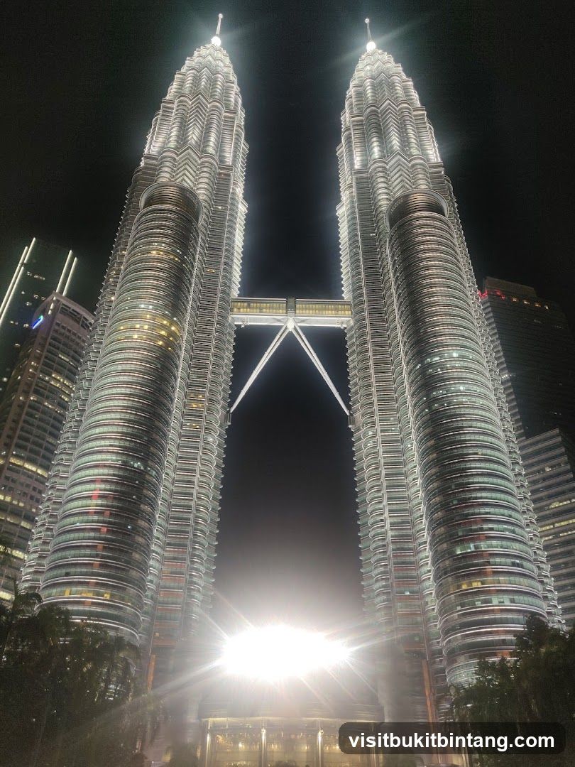 Petronas Towers at Night