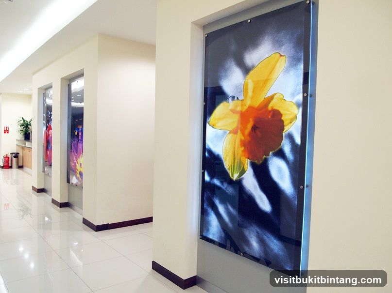 Hallway with Artwork