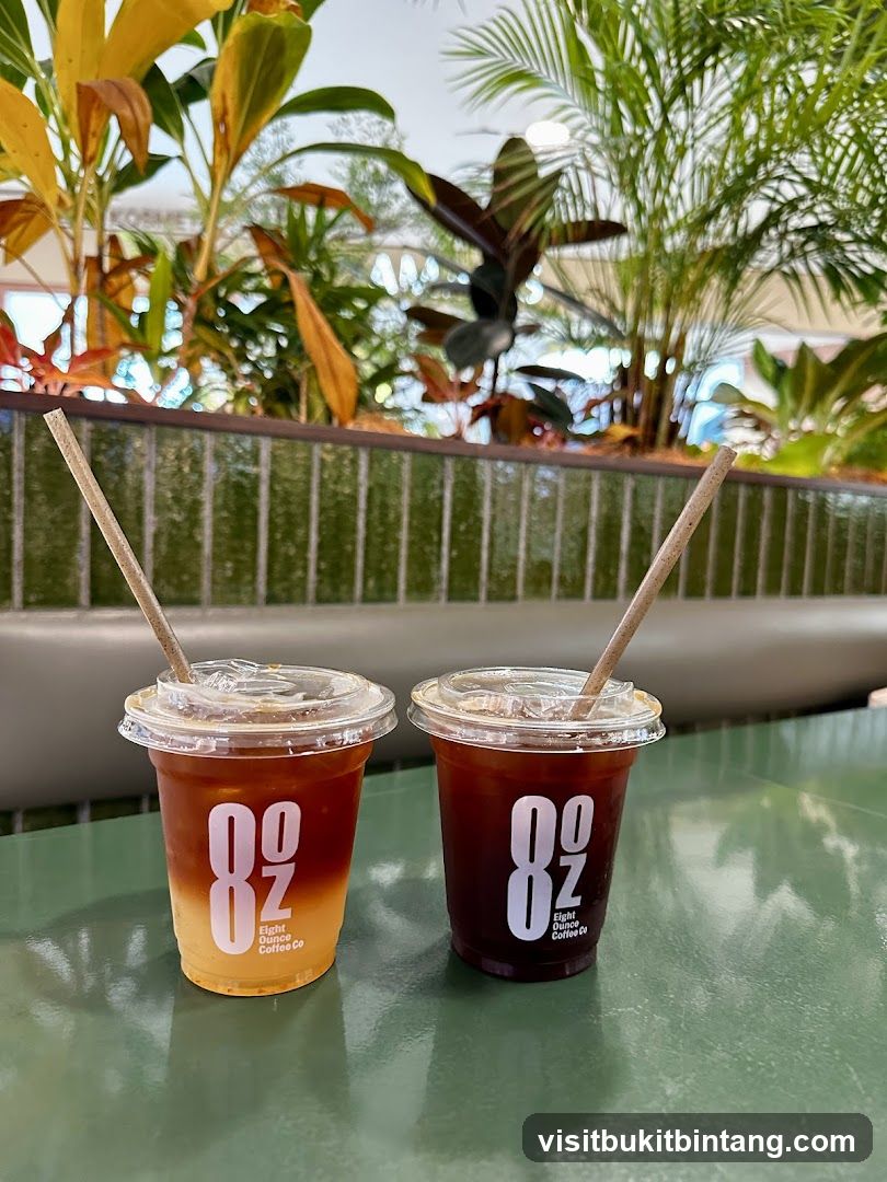 Two Iced Coffee Drinks