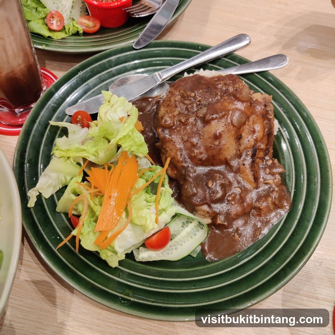 Chicken with Gravy and Salad